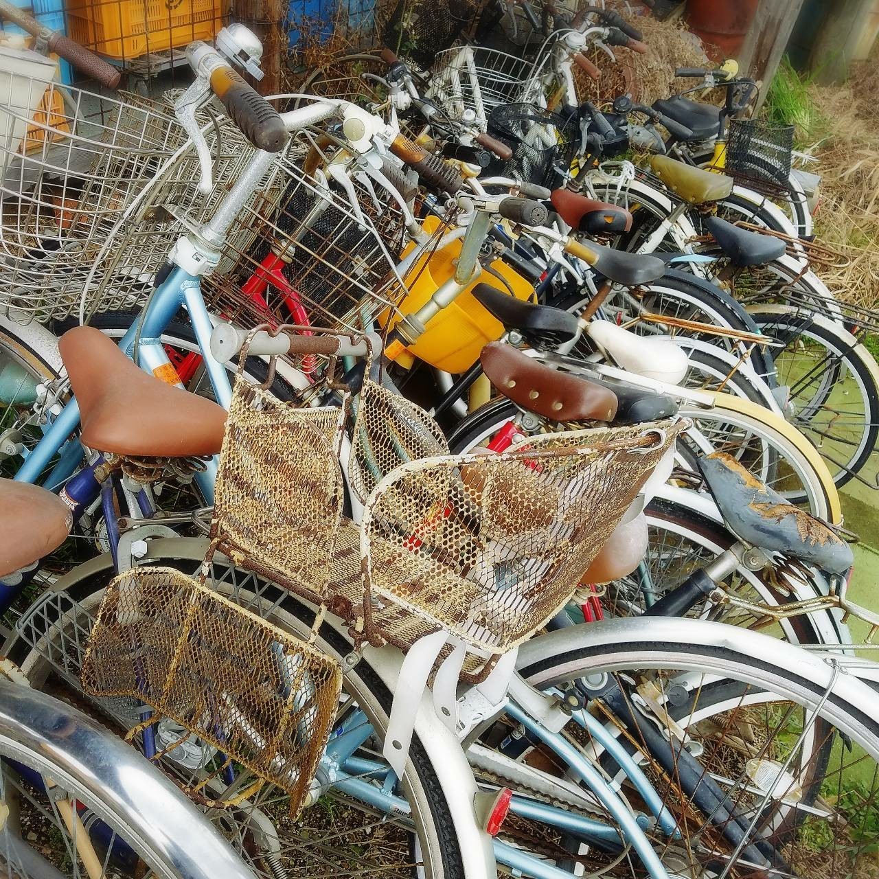 天神 自転車 回収